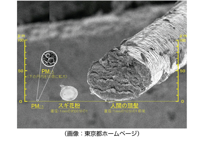 (画像:東京都ホームページ)